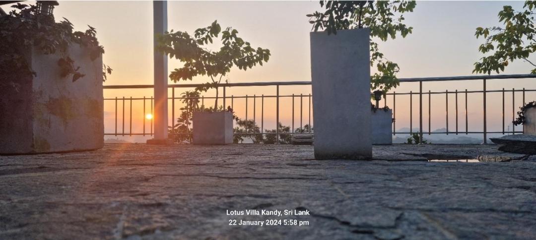Lotus Villa Kandy 佩勒代尼耶 外观 照片