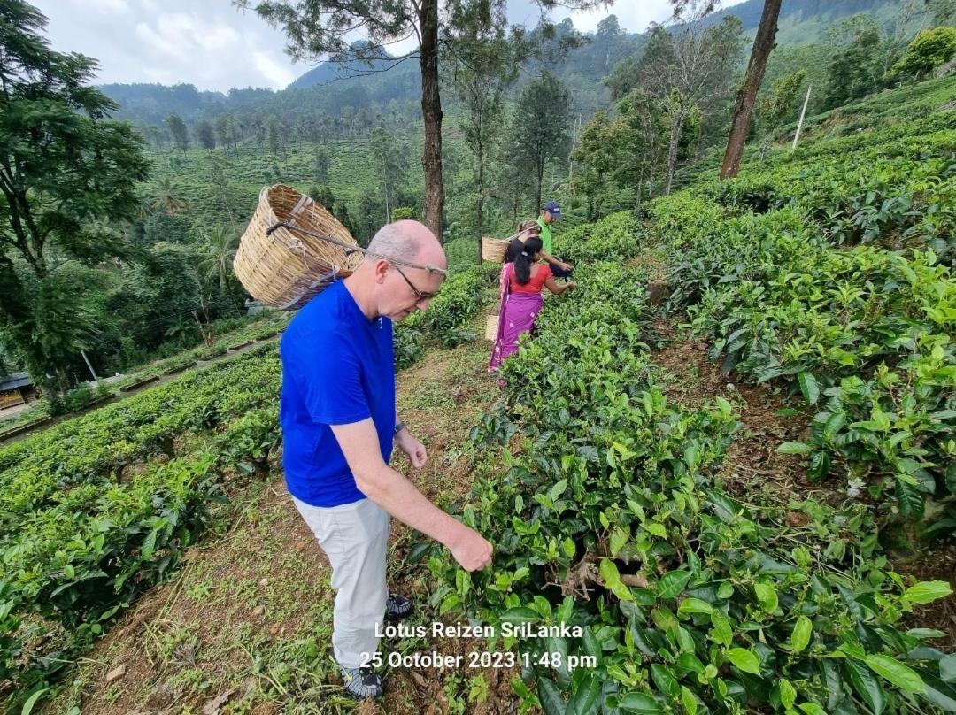 Lotus Villa Kandy 佩勒代尼耶 外观 照片