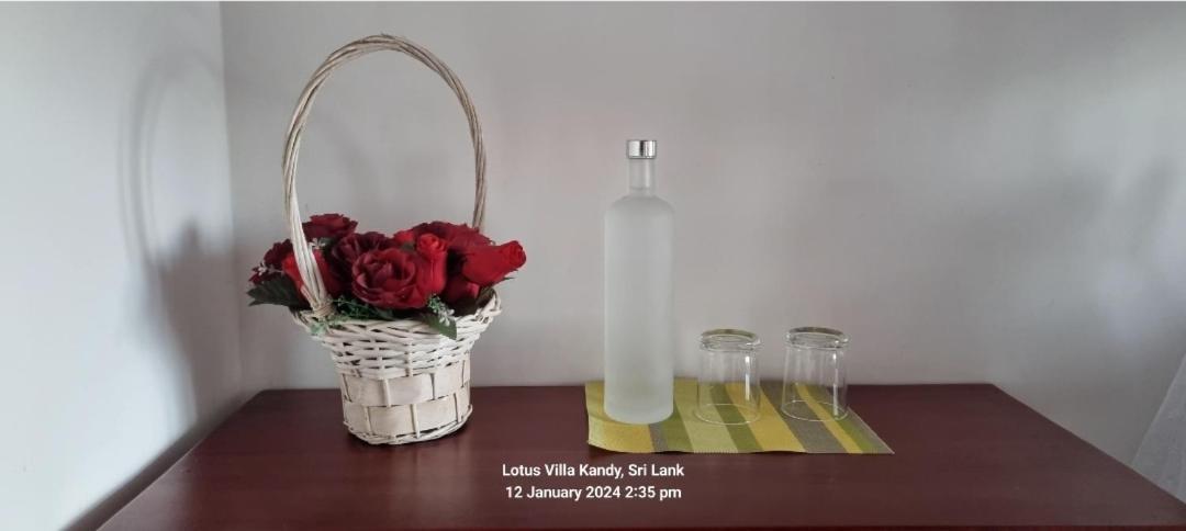 Lotus Villa Kandy 佩勒代尼耶 外观 照片