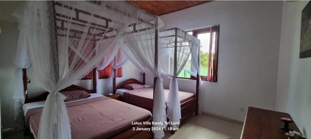 Lotus Villa Kandy 佩勒代尼耶 外观 照片