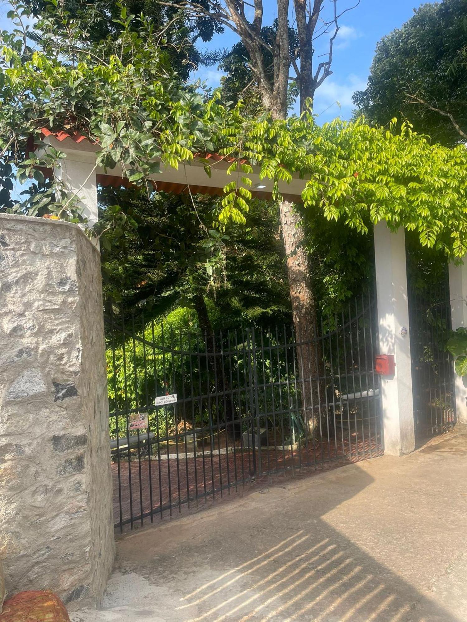 Lotus Villa Kandy 佩勒代尼耶 外观 照片