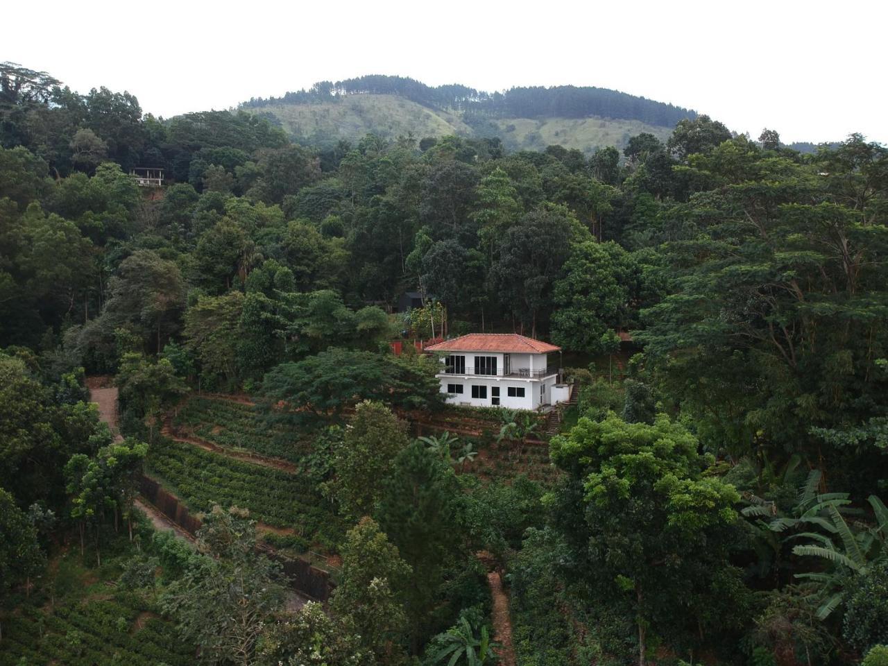 Lotus Villa Kandy 佩勒代尼耶 外观 照片