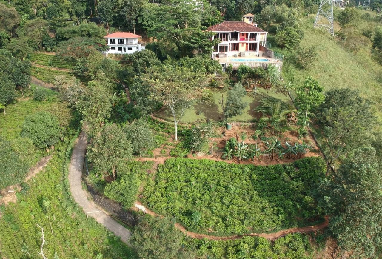 Lotus Villa Kandy 佩勒代尼耶 外观 照片